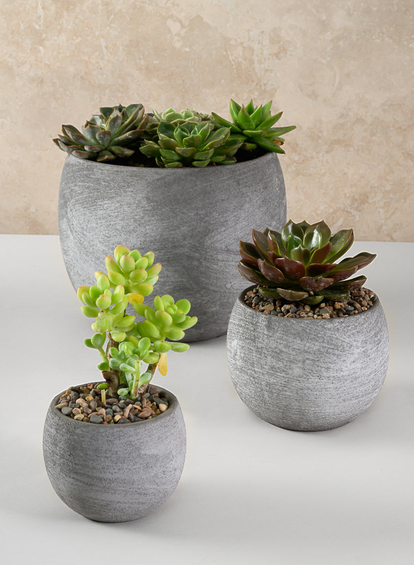 3in Tall Iquitos Venetian Grey Ceramic Mini Pot, Set of 6 Decor Jamali Garden