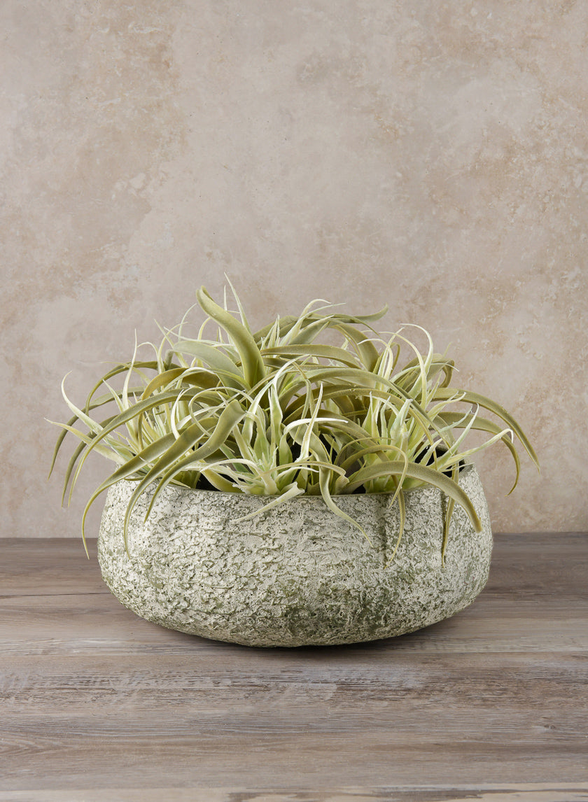 15.5in Wide Mesquite Chalk Stone Moss Green Low Bowl, Large Decor Jamali Garden