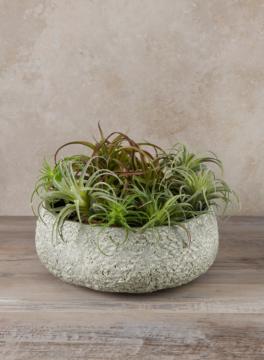 12in Wide Mesquite Chalk Stone Moss Green Low Bowl, Medium Decor Jamali Garden