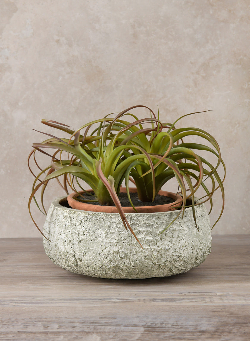 Mesquite Chalk Stone Moss Green Low Bowl Decor Jamali Garden 15.5in Wide EACH