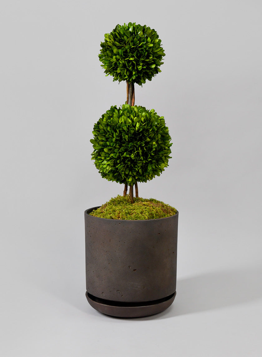 Amaris Antique Brown Pot With Saucer Decor Jamali Garden