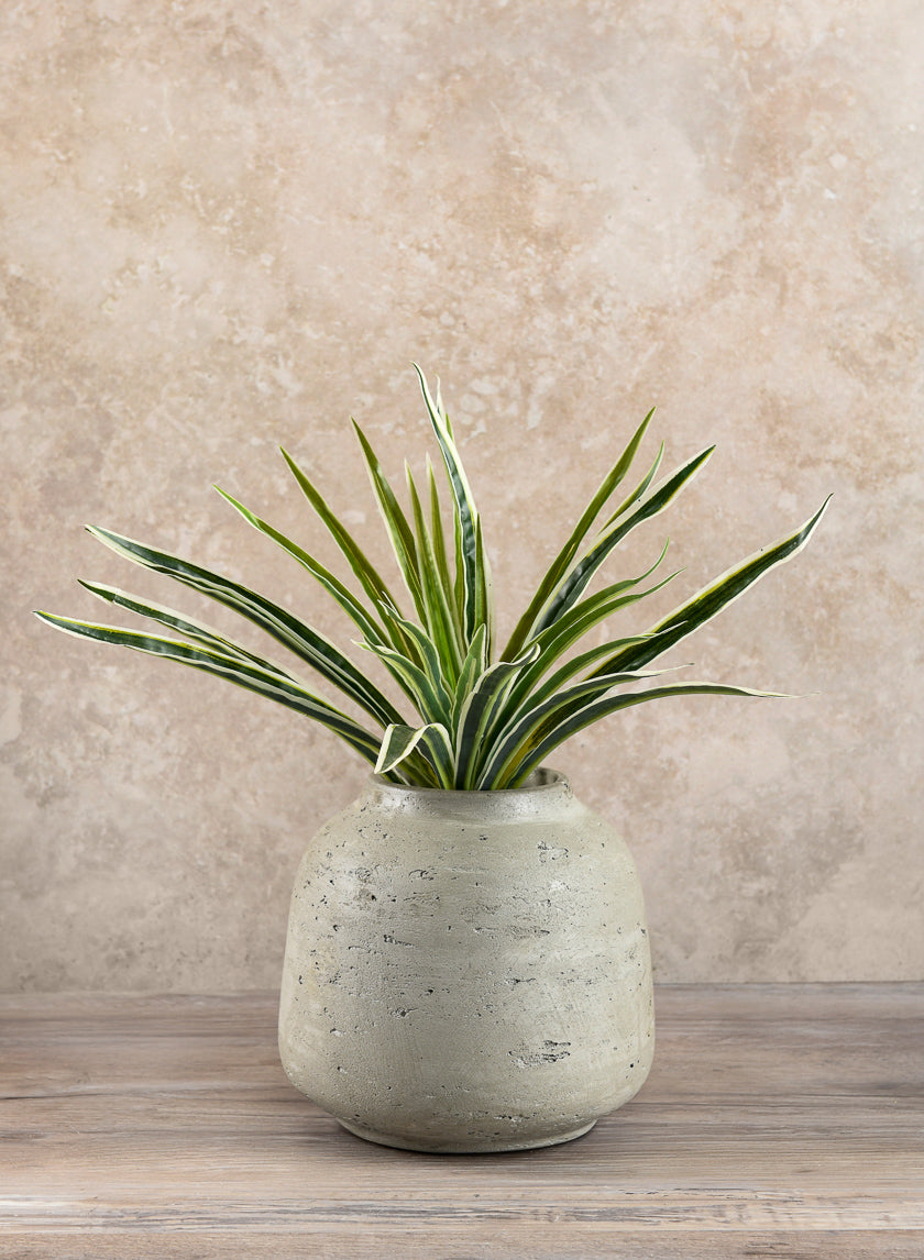 12in Long Spider Plant Pick Decor Jamali Garden