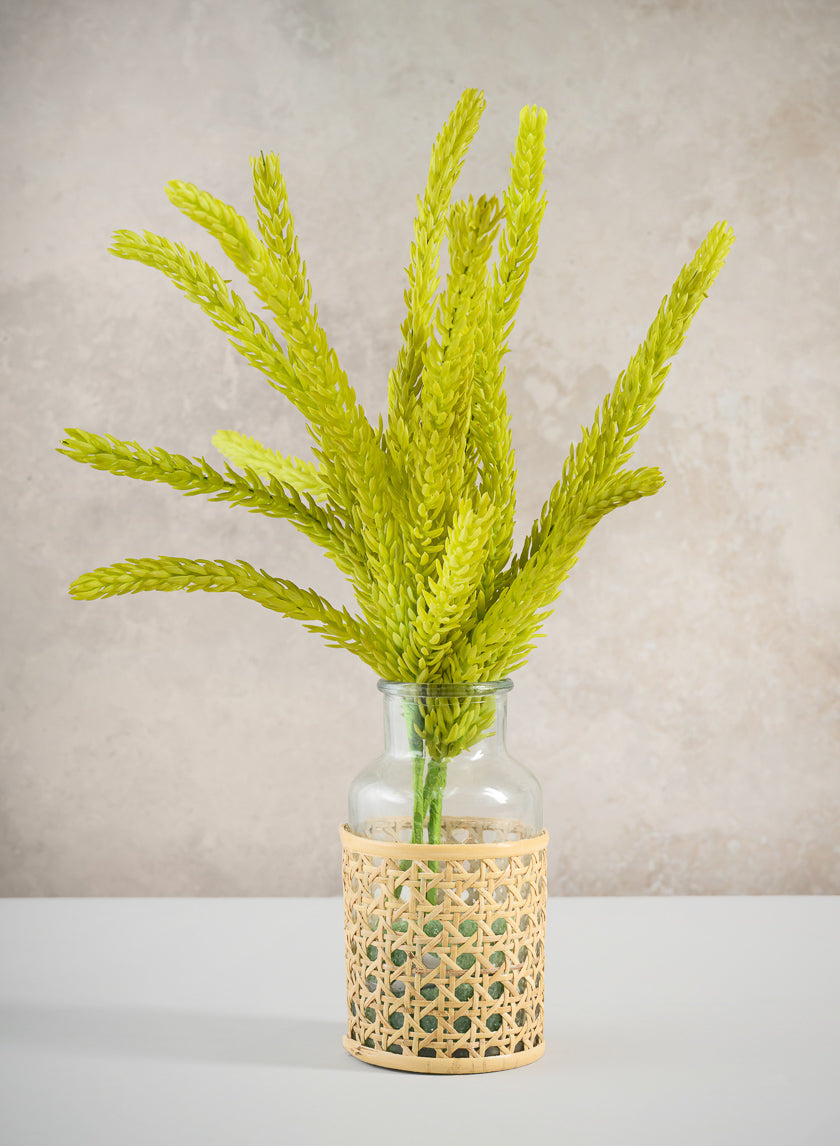 5in Tall Indochine Cane Weaved Glass Bottle Vase, Set of 6 Decor Jamali Garden
