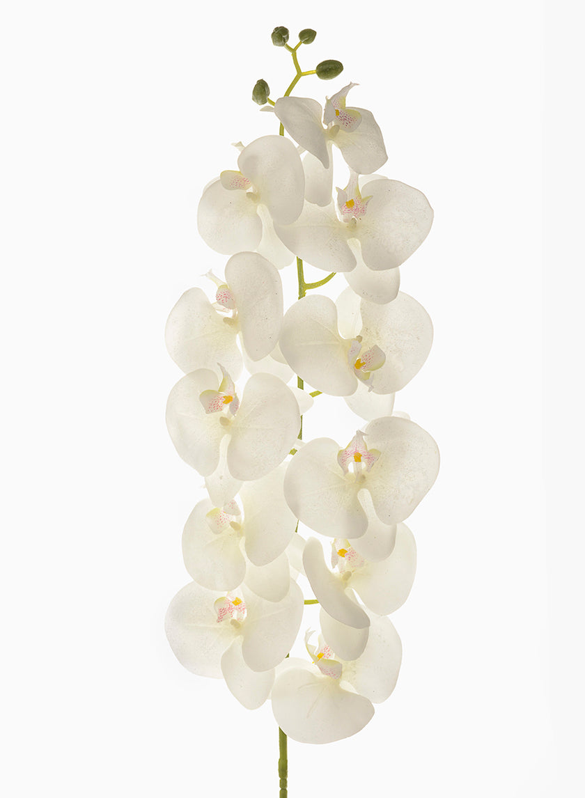 55in Long Real Touch White Phalaenopsis Orchid Stem, Bundle of 12 Decor Jamali Garden
