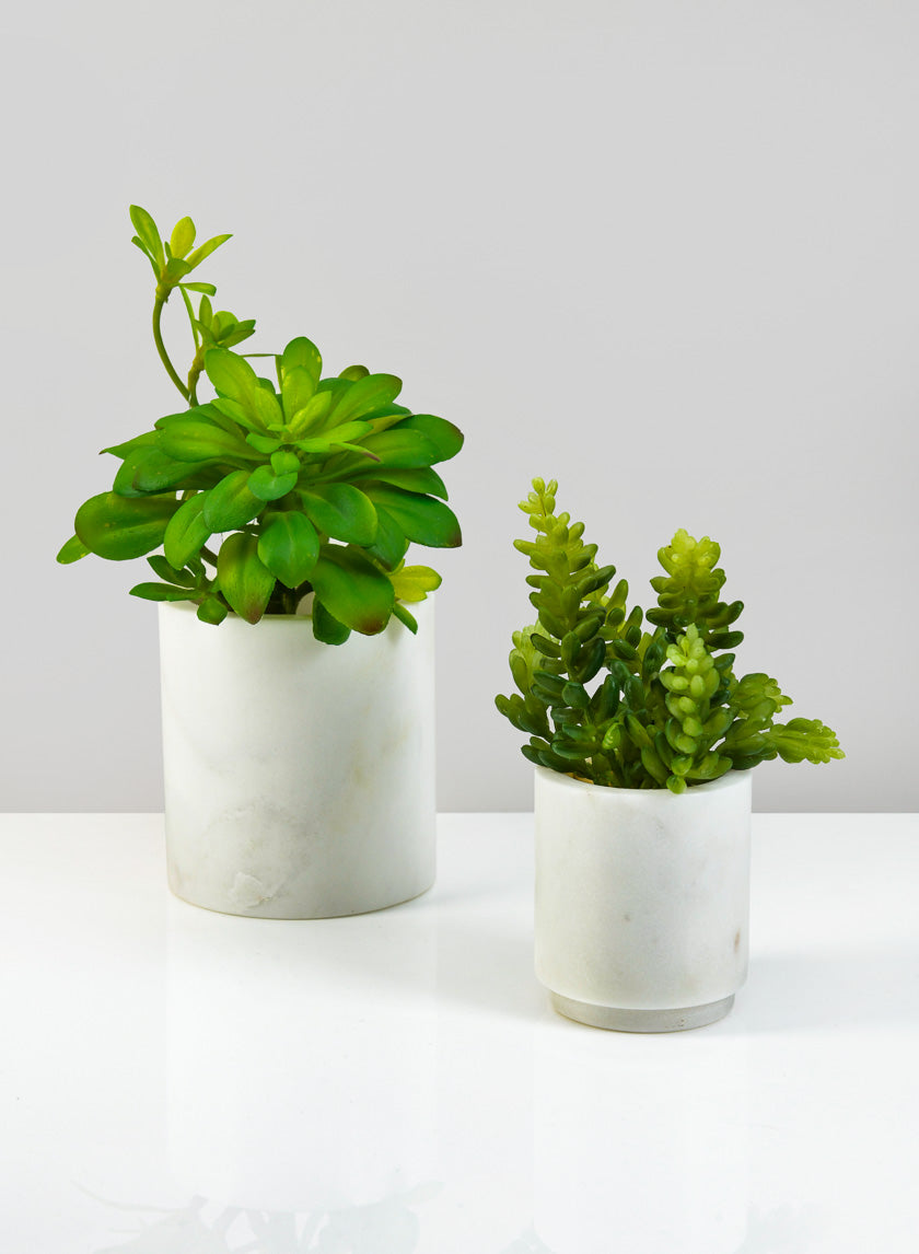 3in Tall Ashgabat White Marble Holder Decor Jamali Garden