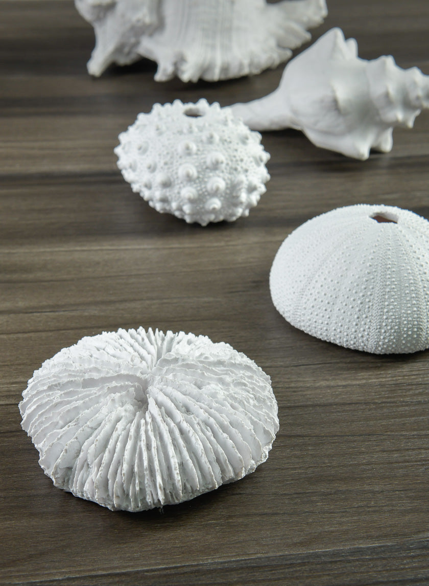 Artificial White Sea Urchins, Set of 3 Decor Jamali Garden