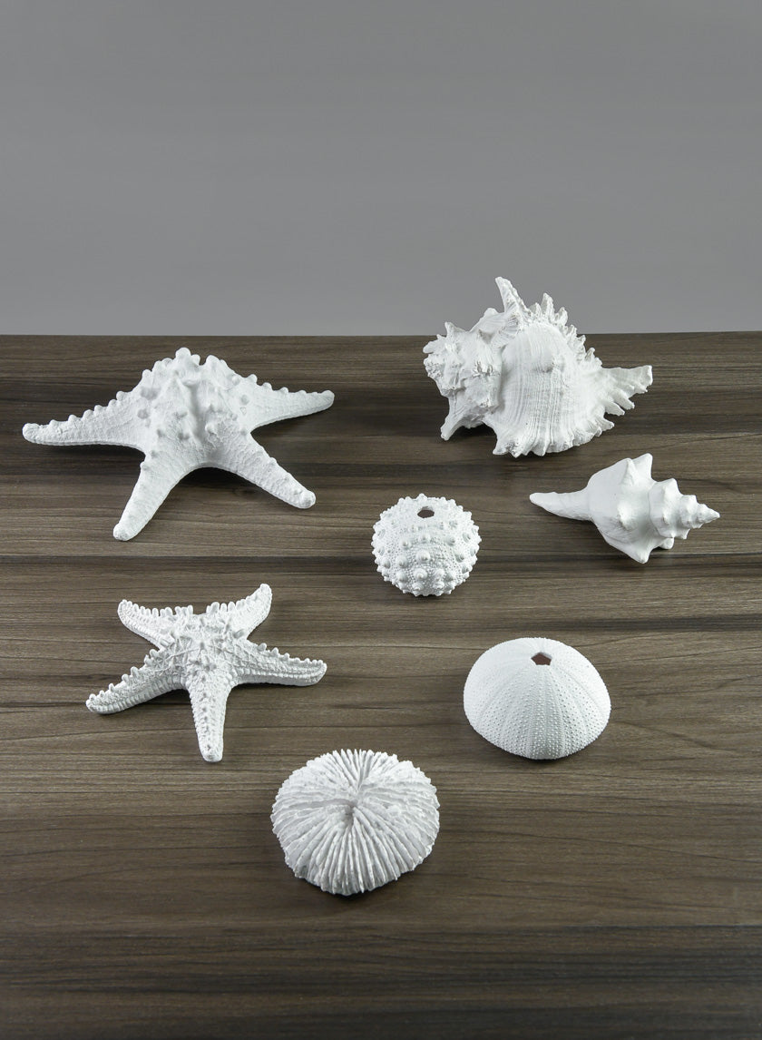 9in Long Artificial Giant White Knobby Starfish Decor Jamali Garden