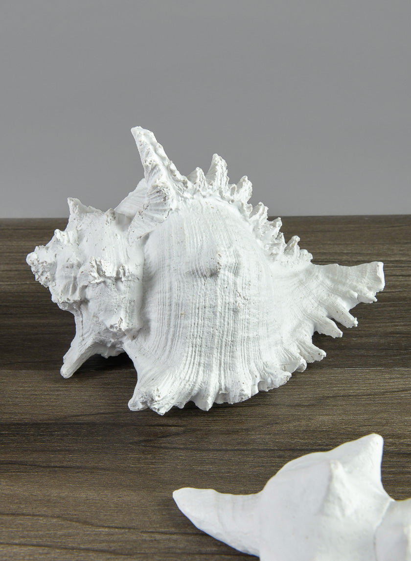 7.5in Long Artificial Giant Murex Seashell Decor Jamali Garden