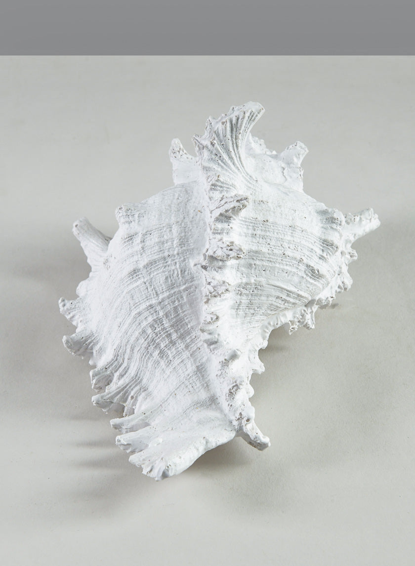 7.5in Long Artificial Giant Murex Seashell Decor Jamali Garden