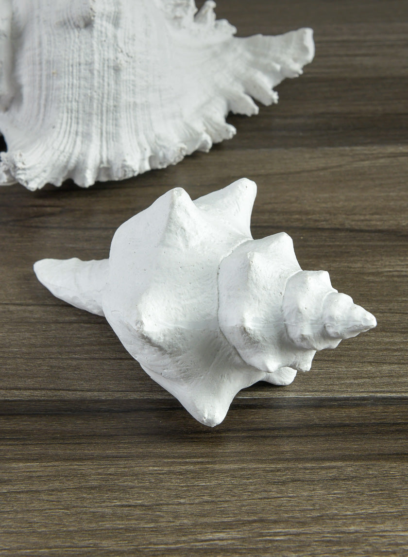 5.5in Long Artificial Florida Horse Conch Seashell Decor Jamali Garden