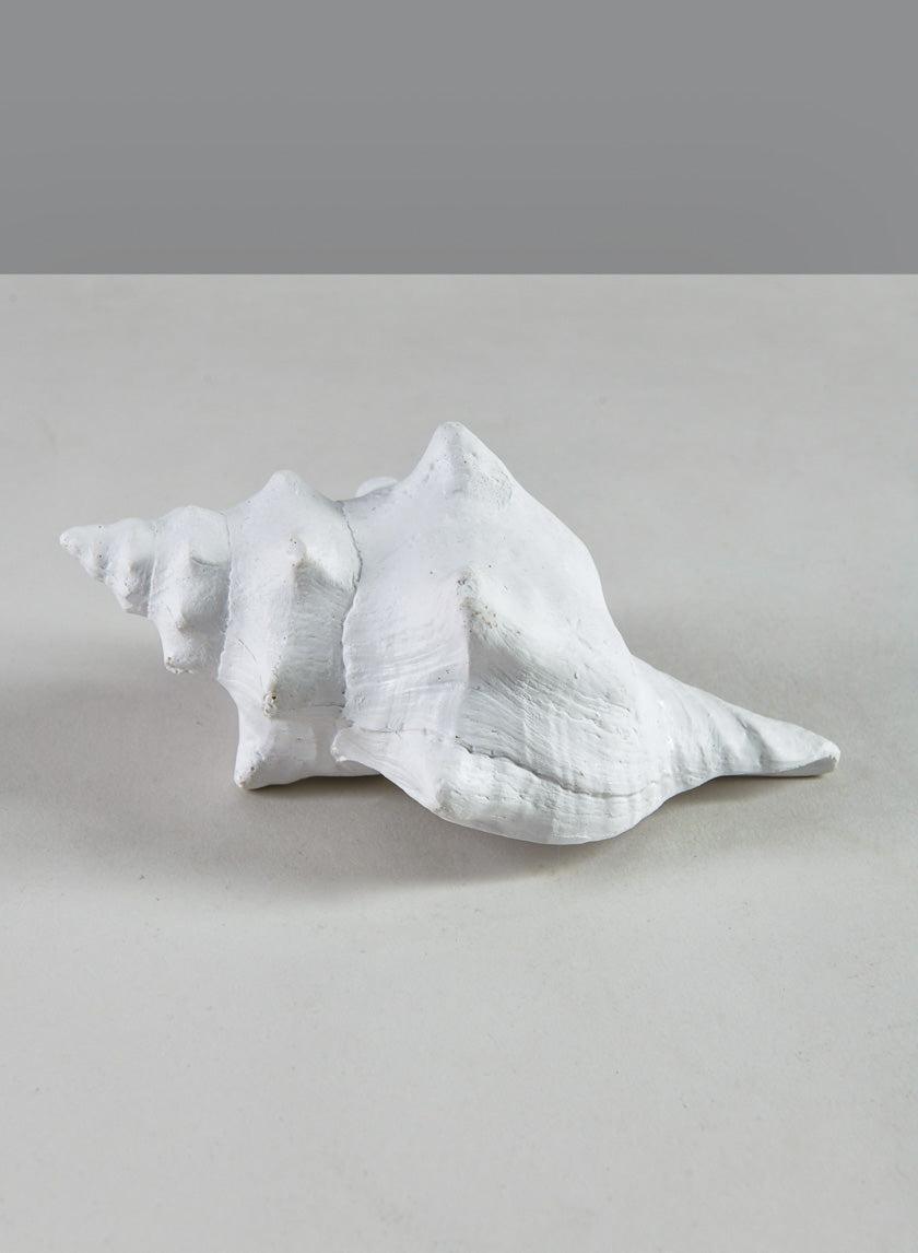 5.5in Long Artificial Florida Horse Conch Seashell Decor Jamali Garden