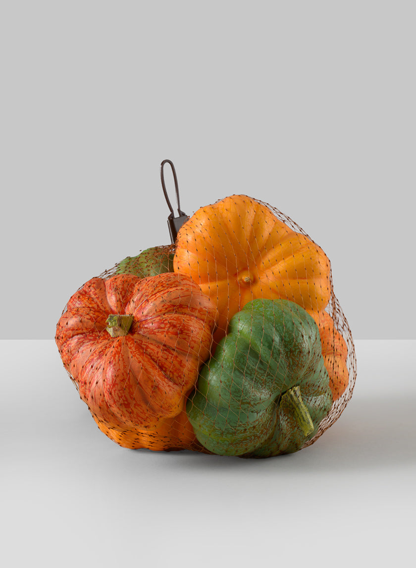 Fresh Farm Multi Color Mini Pumpkins, Set of 6 Decor Jamali Garden