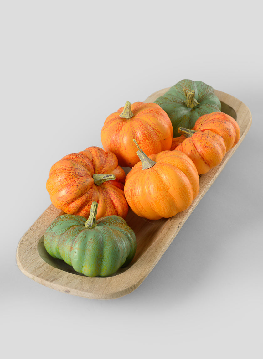 Fresh Farm Multi Color Mini Pumpkins, Set of 6 Decor Jamali Garden