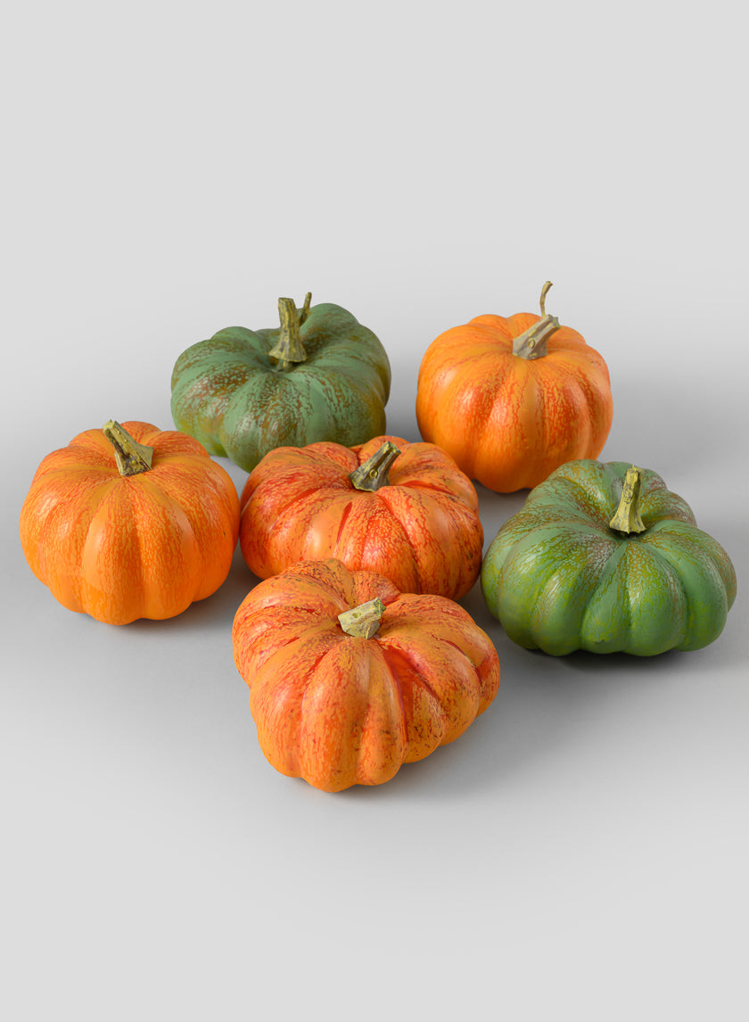 Fresh Farm Multi Color Mini Pumpkins, Set of 6 Decor Jamali Garden