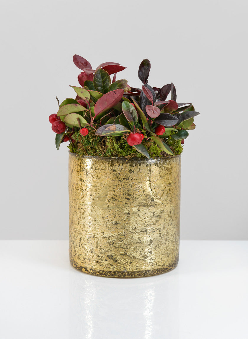 5in Tall Gold Glass Vase Decor Jamali Garden