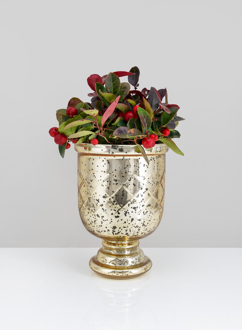 7in Tall Etched Gold Glass Hurricane Decor Jamali Garden