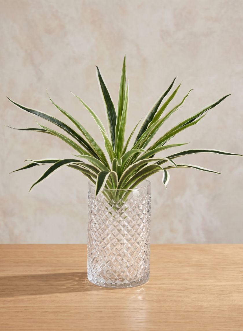 6in Tall Diamond Cut Glass Round Vase Decor Jamali Garden