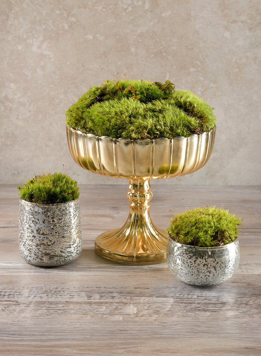 8in Tall Mumtaz Gold Dish Glass Urn Decor Jamali Garden