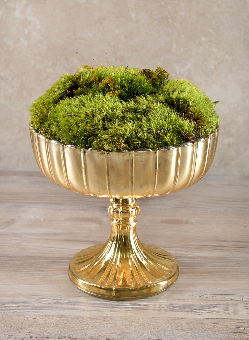 Super Moss Preserved Sheet Moss Decor Jamali Garden