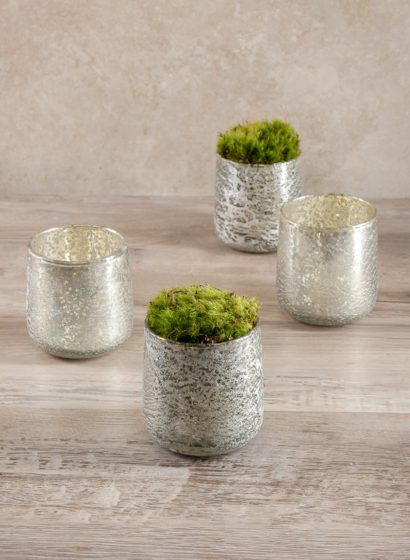 Super Moss Preserved Sheet Moss Decor Jamali Garden