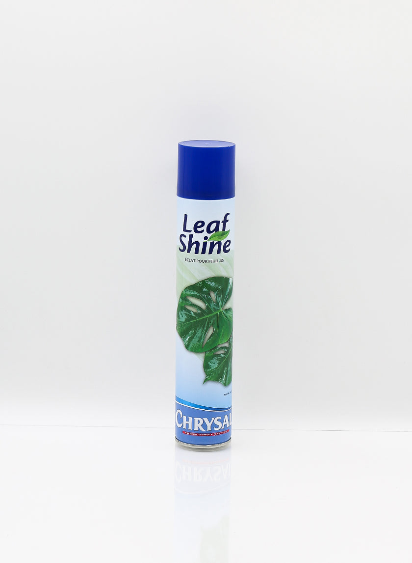 15oz Chrystal Leafshine Decor Jamali Garden