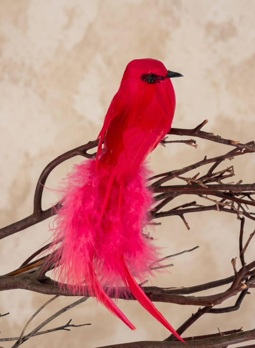 5in Long Red Robbin Hood Birds, Set of 4 Decor Jamali Garden