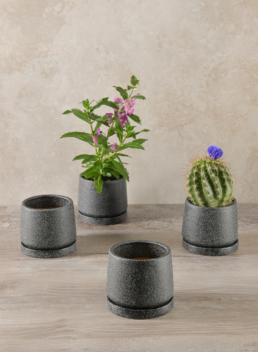 4in Tall Sigtura Sand Black Indoor Ceramic Pot with Saucer, Set of 4 Decor Jamali Garden