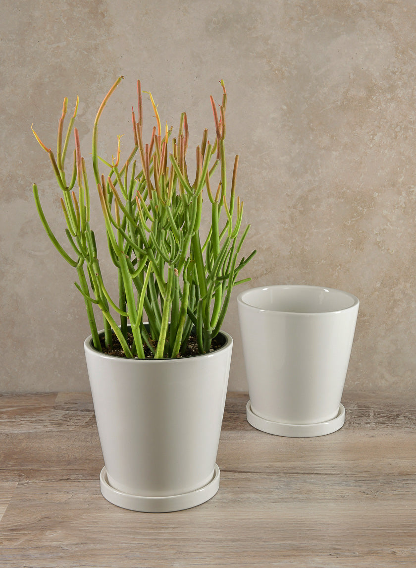 7in Tall Rouen White Ceramic Pot with Saucer, Set of 2 Decor Jamali Garden