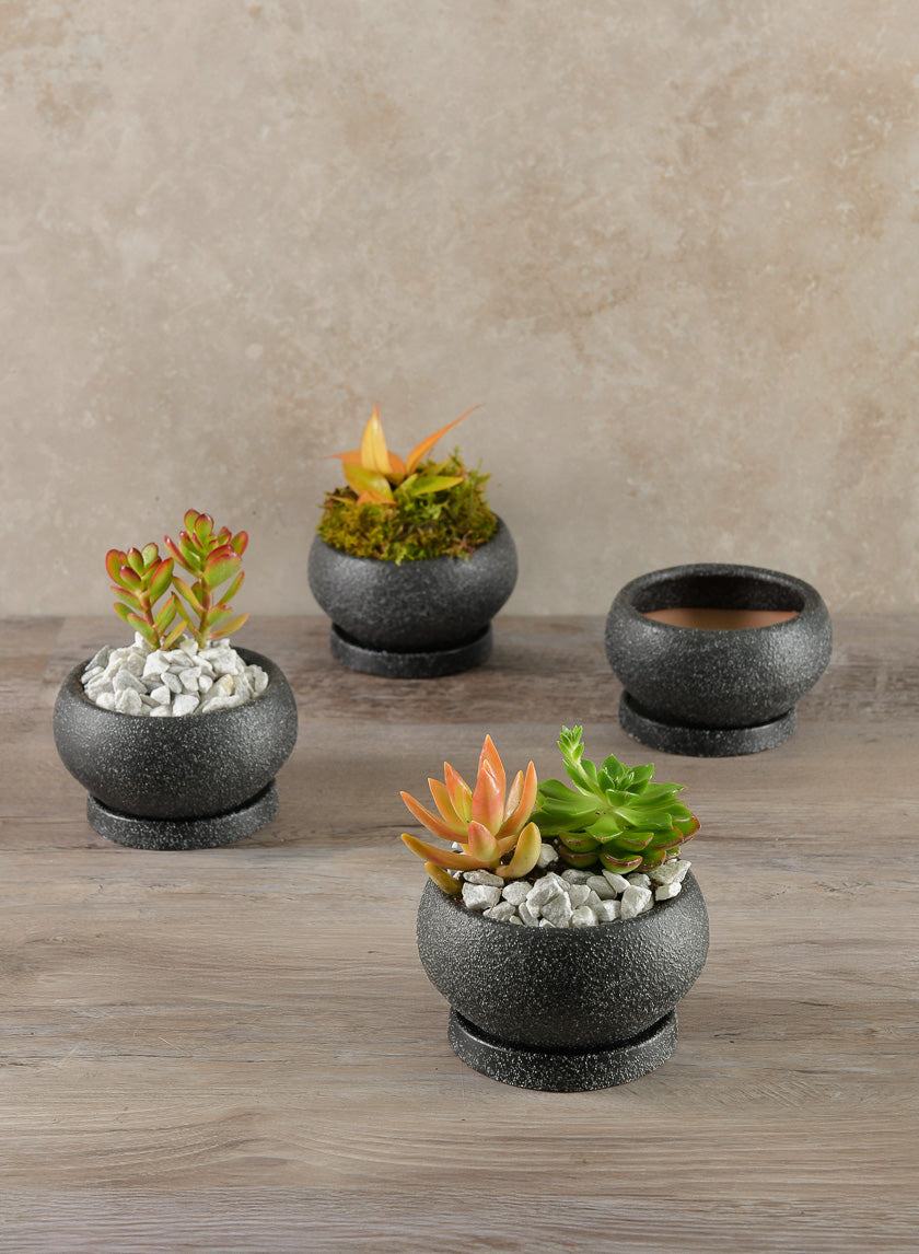 4.5in Wide Vasteras Sand Black Low Pot with Saucer, Set of 4 Decor Jamali Garden