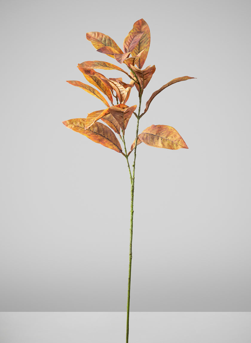27in Long Fall Magnolia Leaf Pick, Case of 12 Decor Jamali Garden