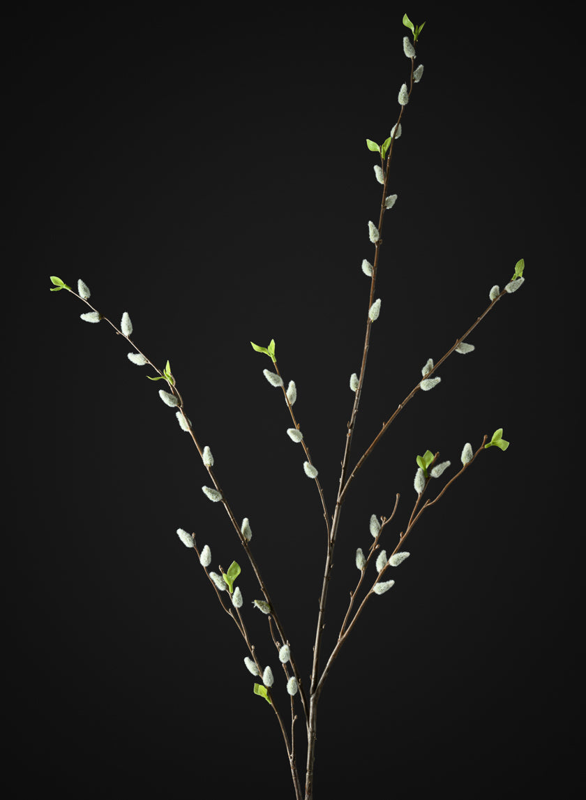 52in Long Pussy Willow Branch, Case of 12 Decor Jamali Garden
