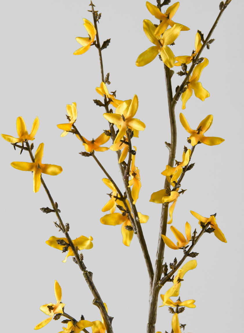 24in Long Blooming Forsythia Branch, Case of 12 Decor Jamali Garden