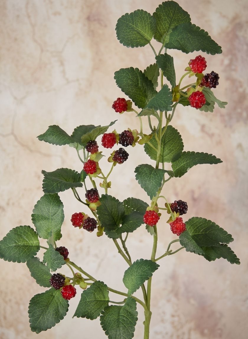29in Long Faux Red/Black Raspberry Stem, Case of 12 Decor Jamali Garden