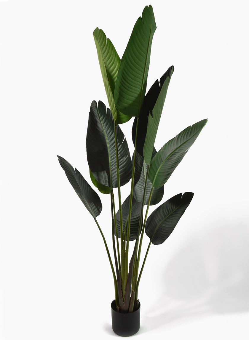 57in Tall Banana Plant Decor Jamali Garden