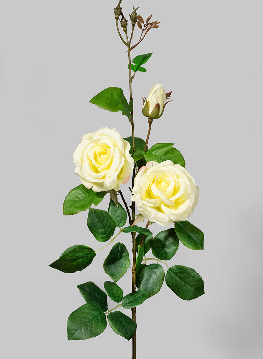 35in Long White Rose Spray, Case of 12 Decor Jamali Garden