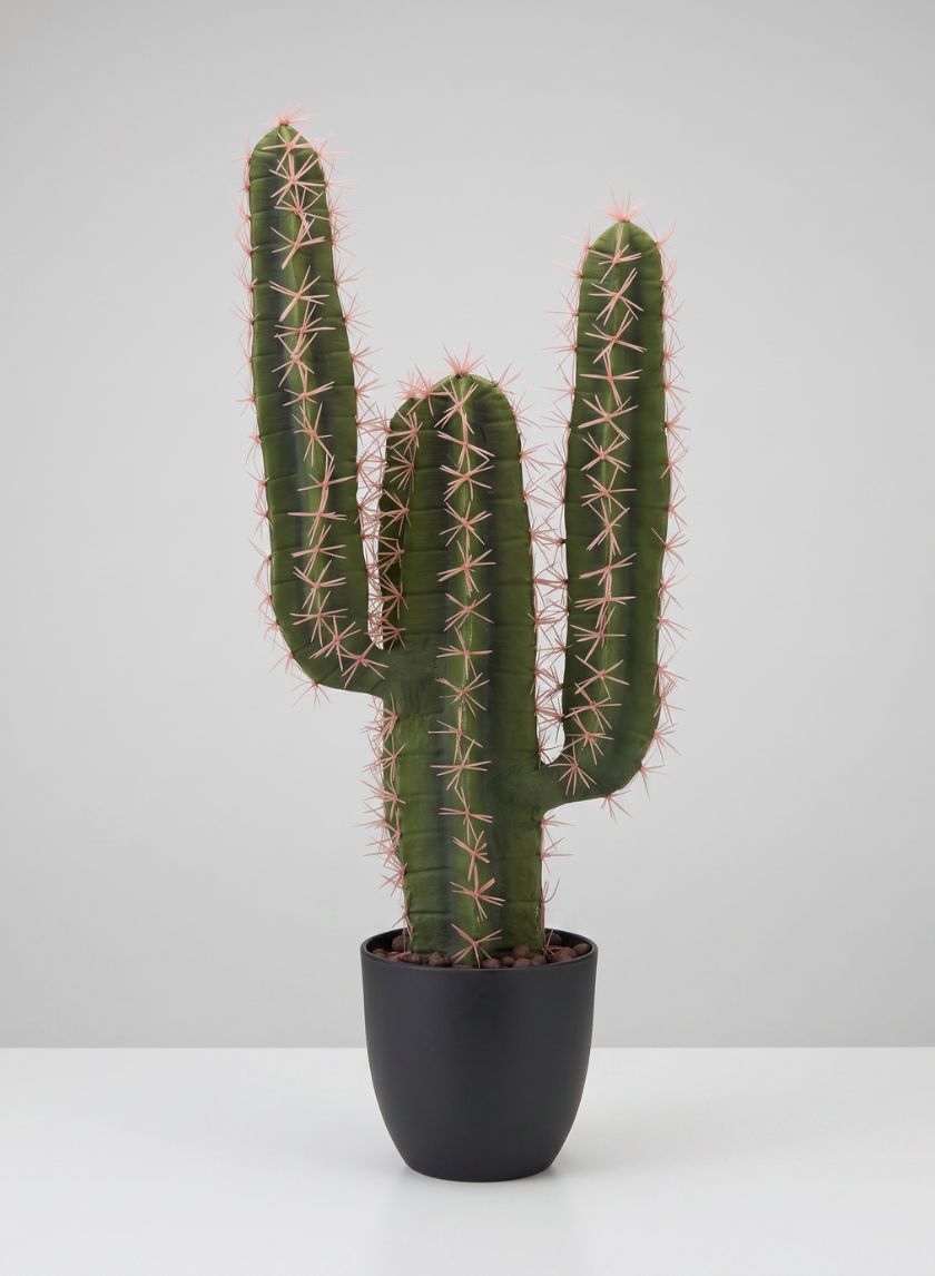 23in Tall San Pedro Desert Cactus Plant with Pot Decor Jamali Garden