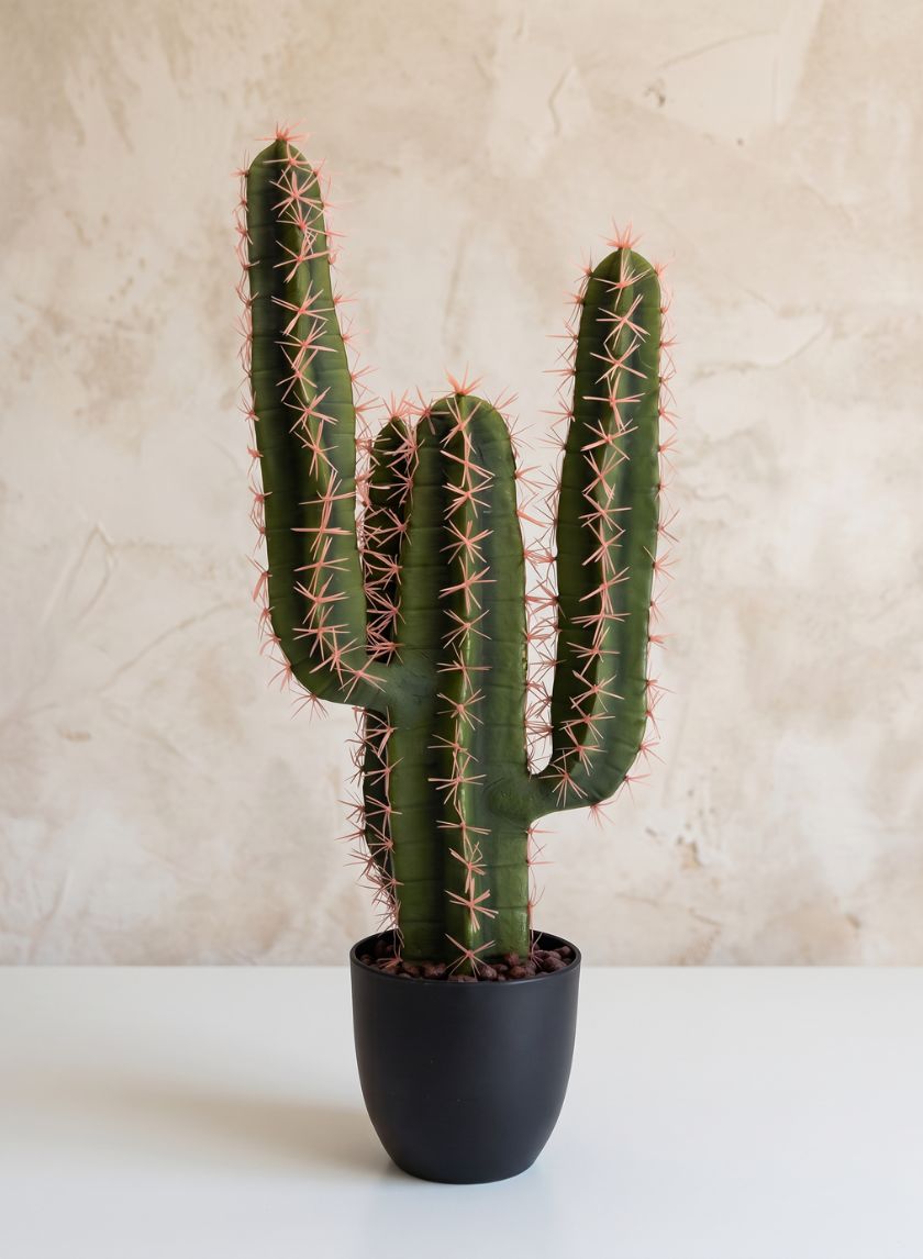 23in Tall San Pedro Desert Cactus Plant with Pot Decor Jamali Garden