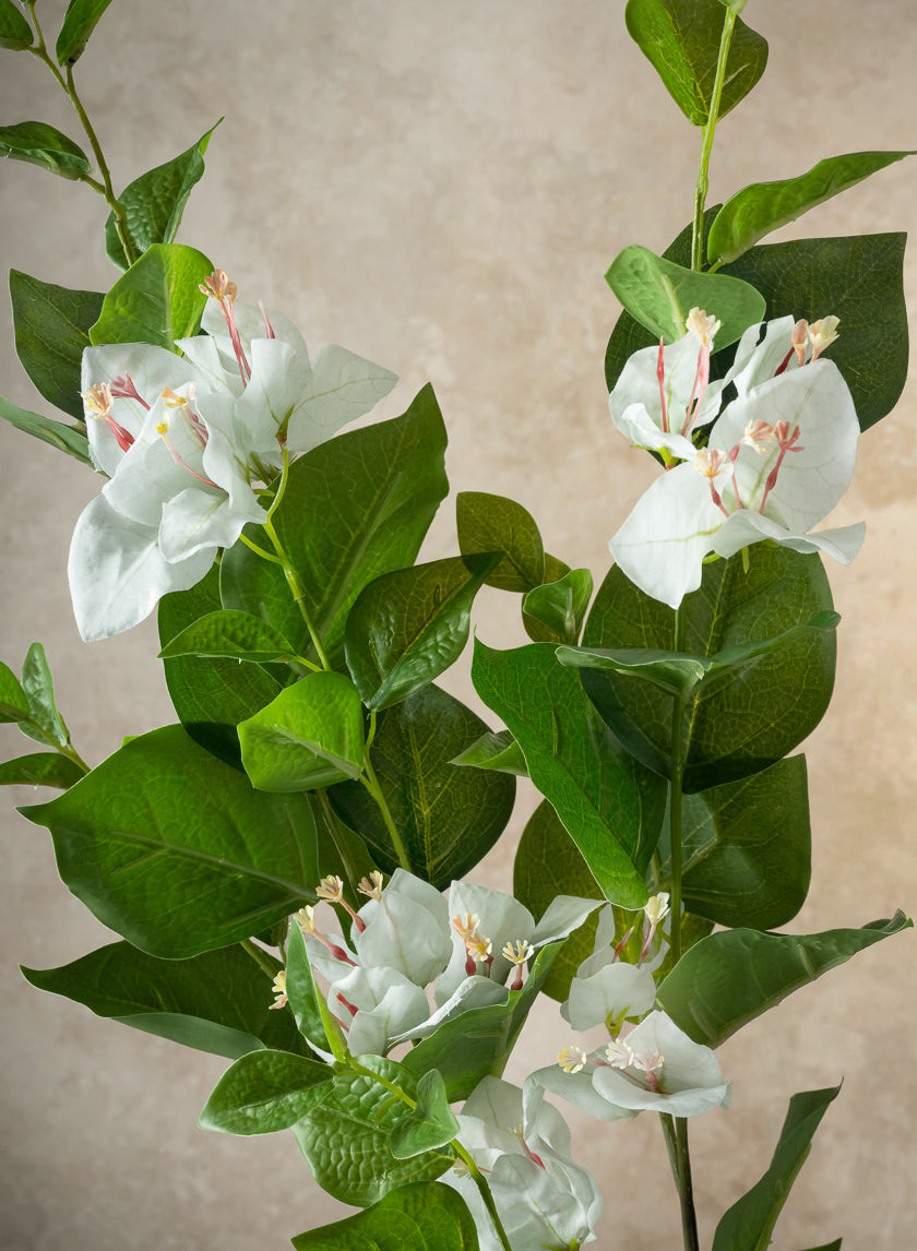 34in Long White Faux Bougainvillea Spray, Case of 12 Decor Jamali Garden