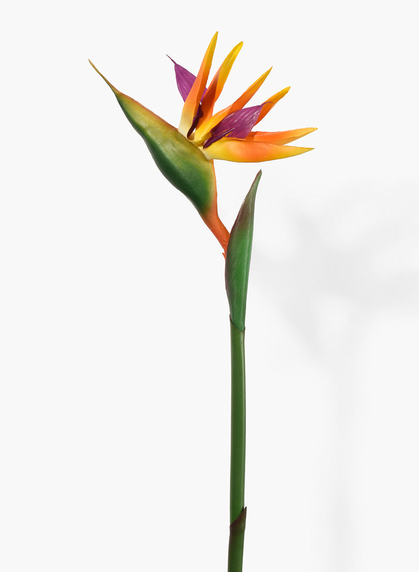 37in Long Orange Bird Of Paradise, Case of 12 Decor Jamali Garden