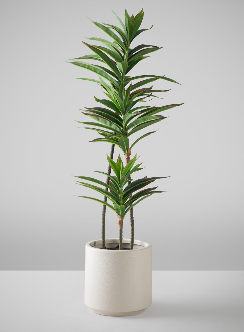 32in Tall Real Touch Dracaena Plant In a White Pot Decor Jamali Garden