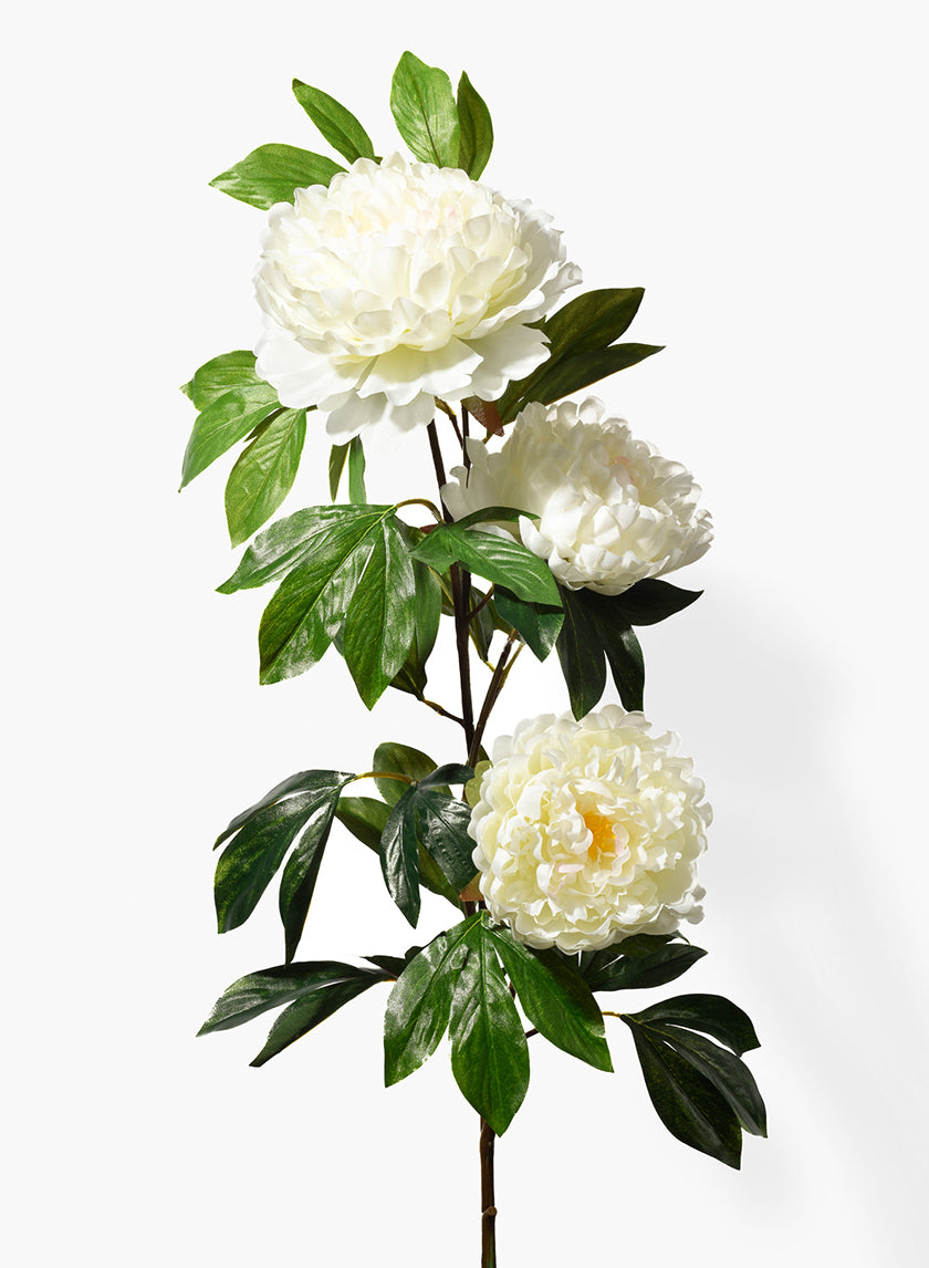 43in Long Peach Peony Spray, Case of 6 Decor Jamali Garden