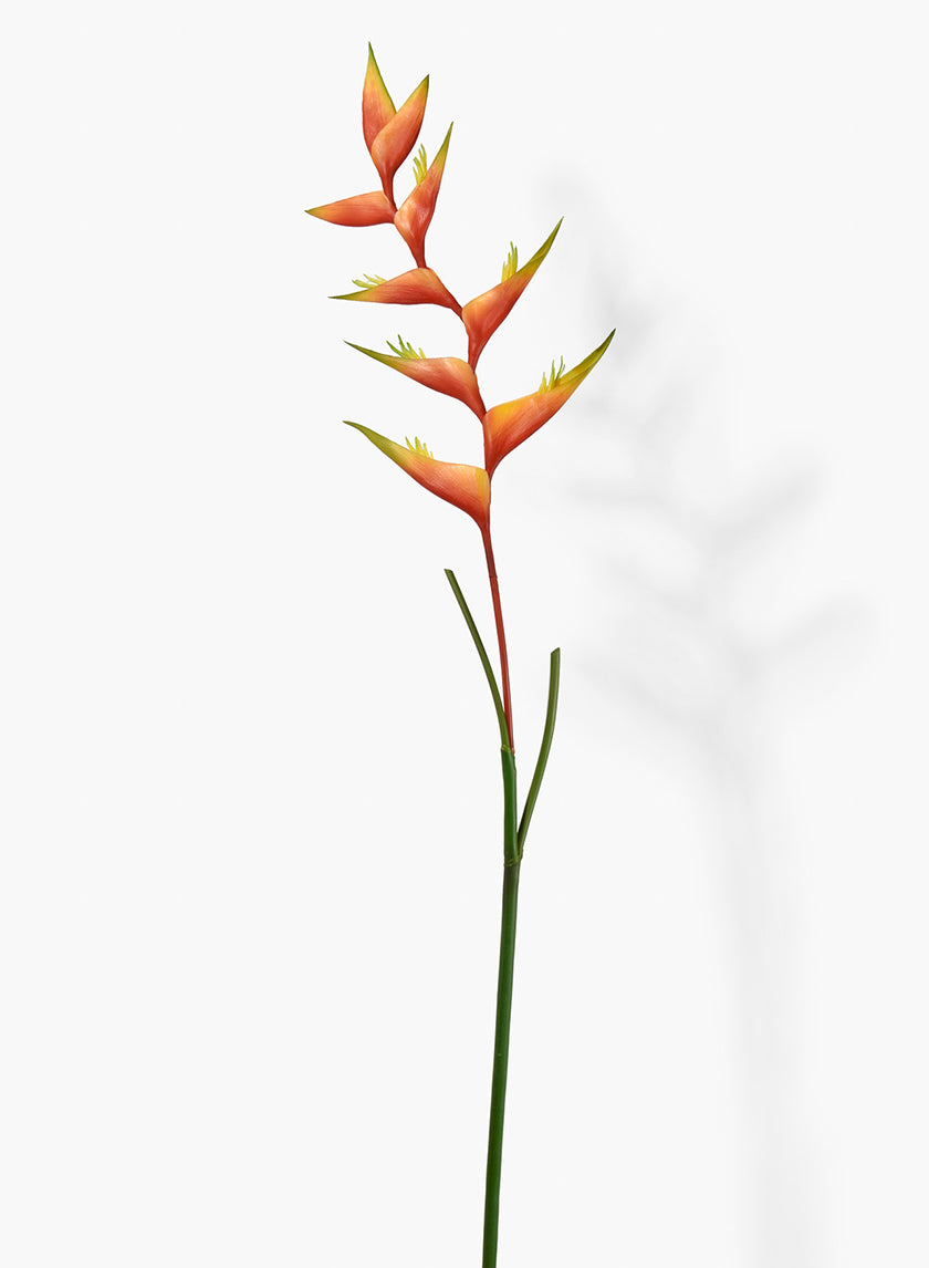 53in Long Orange Heliconia Stem Decor Jamali Garden