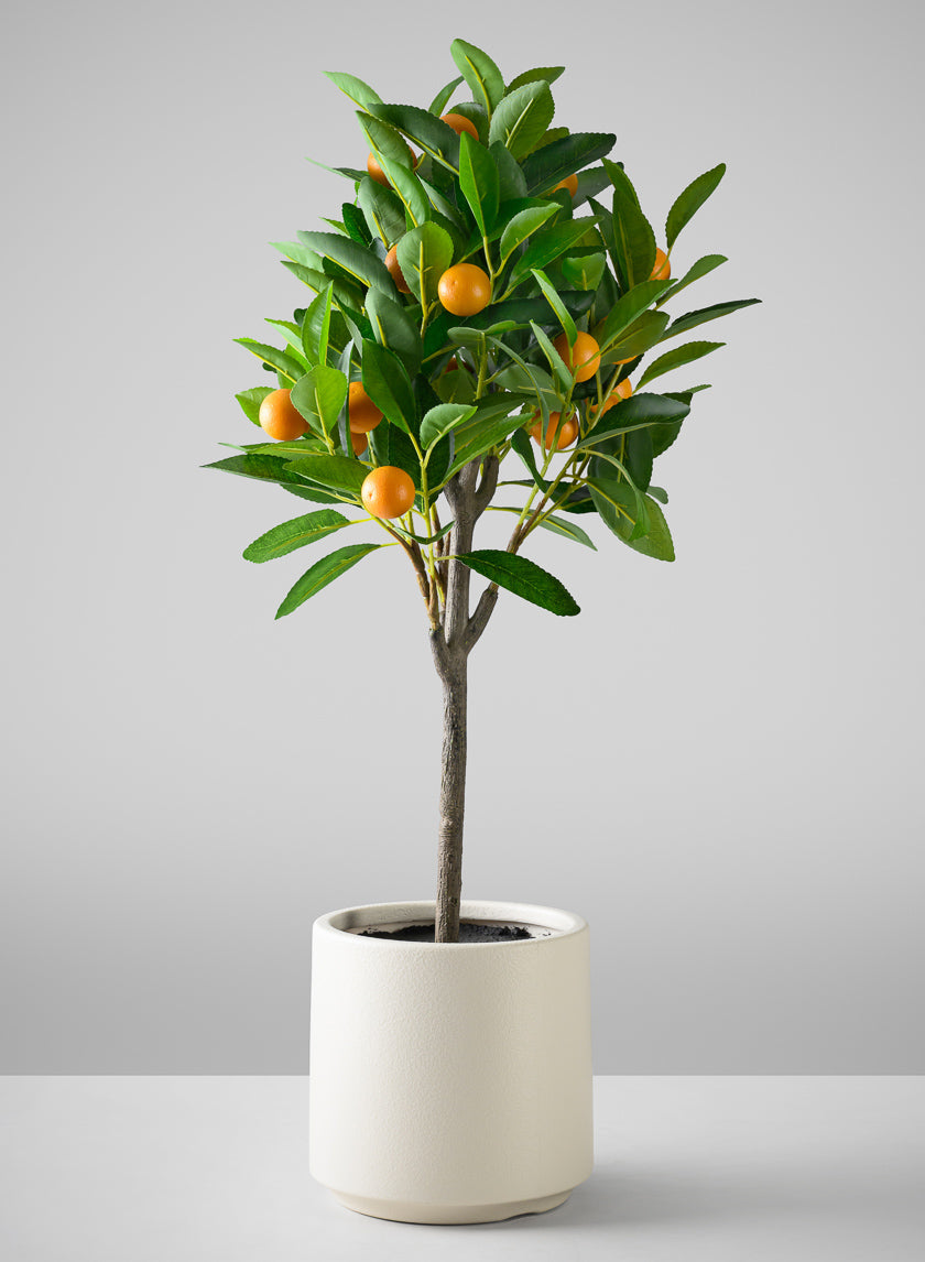 28in Long Real Touch Clementine Tree In a White Pot Decor Jamali Garden