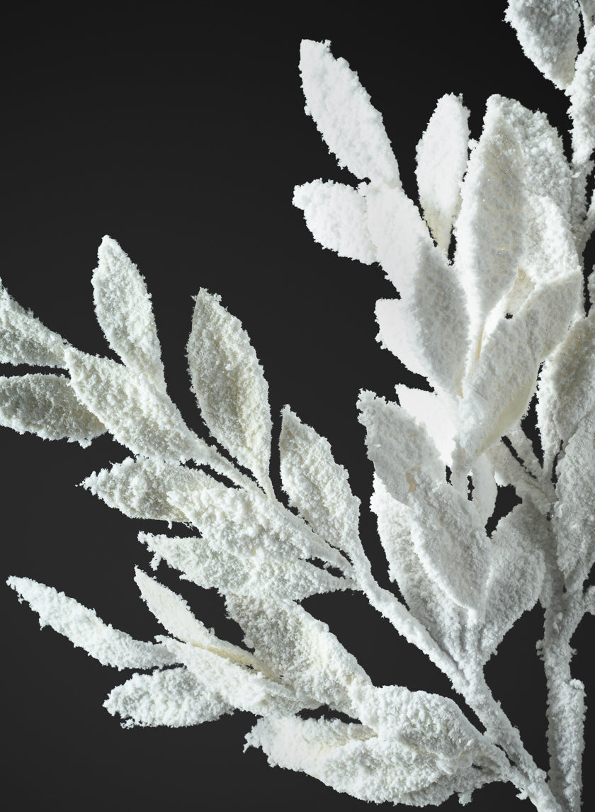 29in Long Snow Flocked Bay Leaf Spray, Case of 12 Decor Jamali Garden