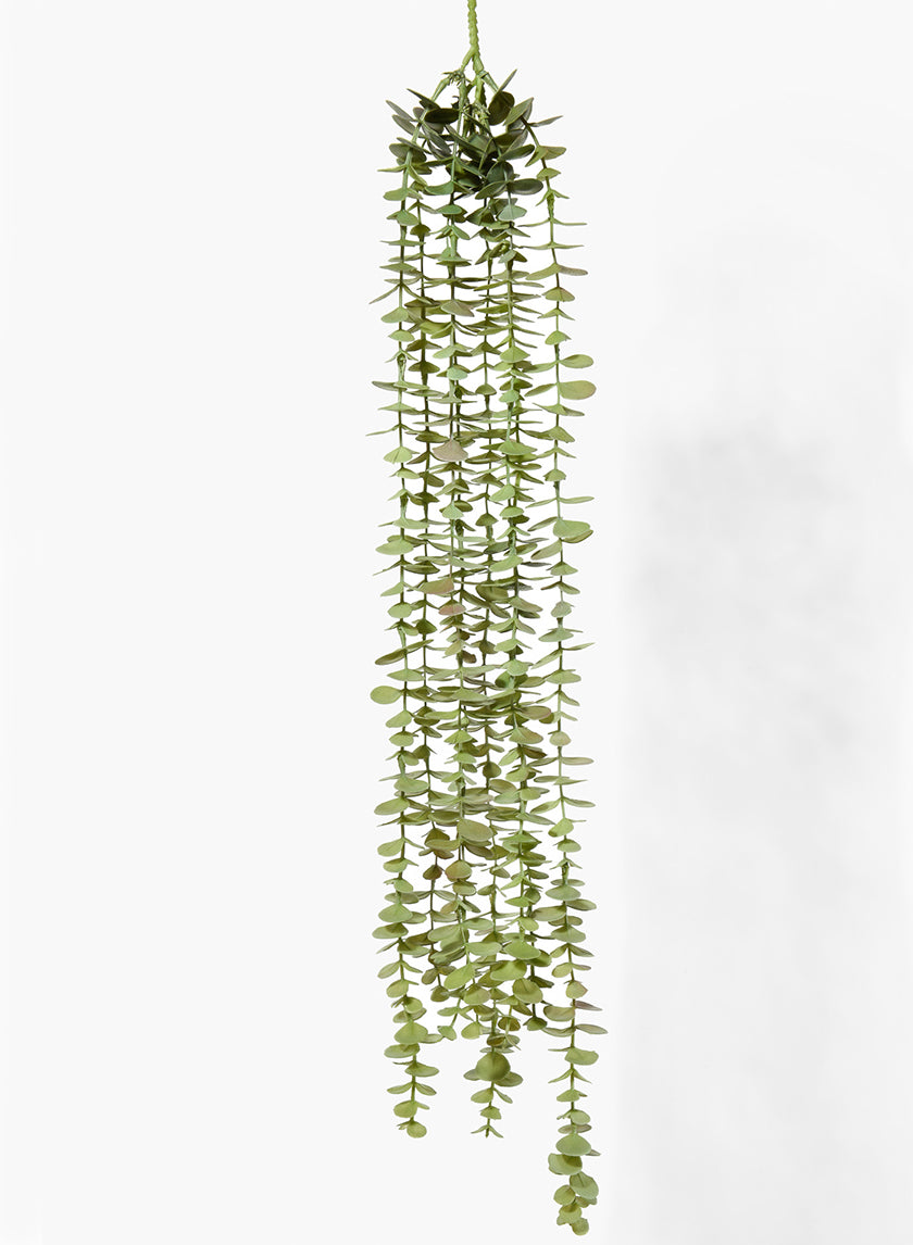 31in Long Eucalyptus Hanging, Case of 12 Decor Jamali Garden