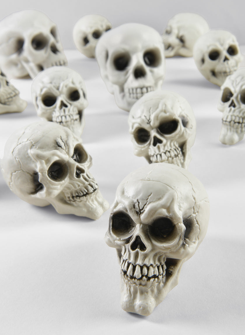 Bag of Mini Skulls Decor Jamali Garden