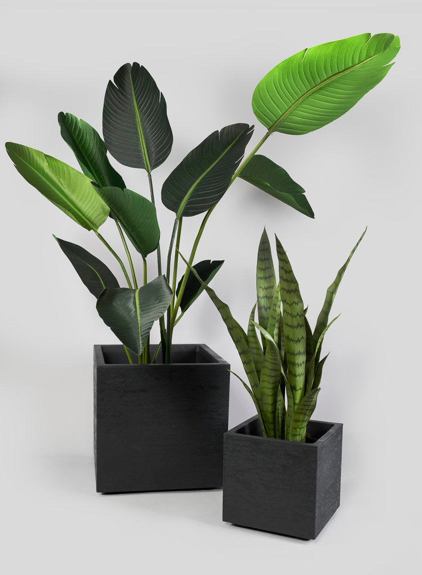 10in Tall Cube Charcoal Gravity Planter Decor Jamali Garden