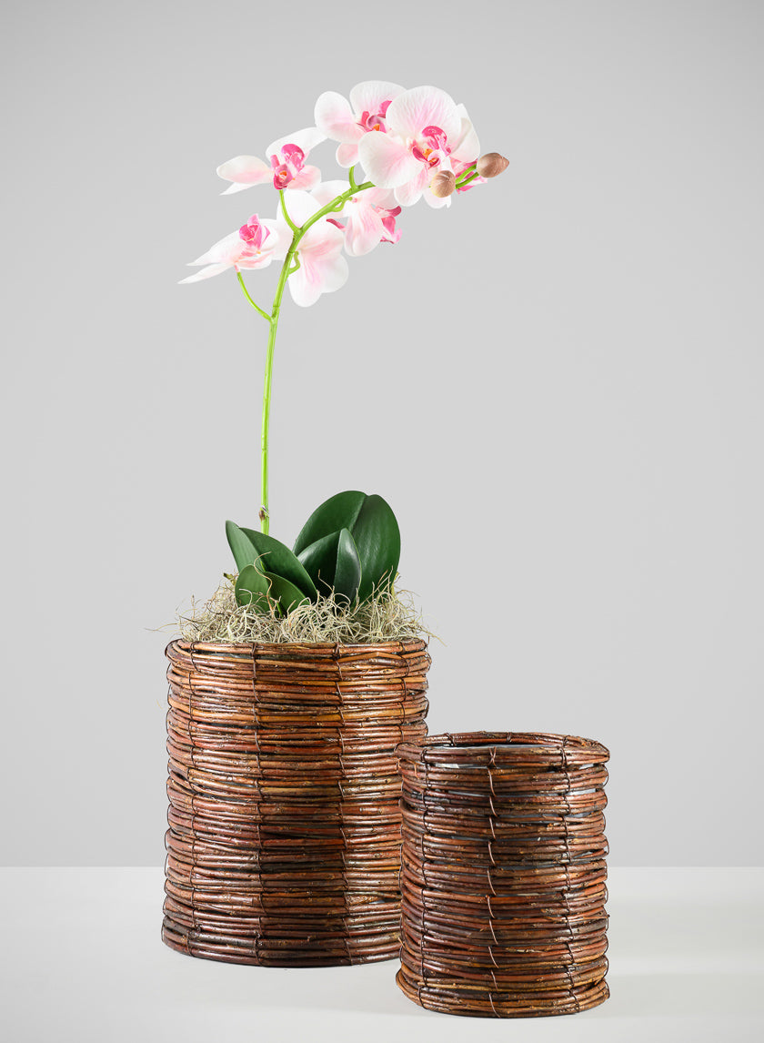 43in Long Light Pink Phalaenopsis Orchid Spray, Case of 12 Decor Jamali Garden