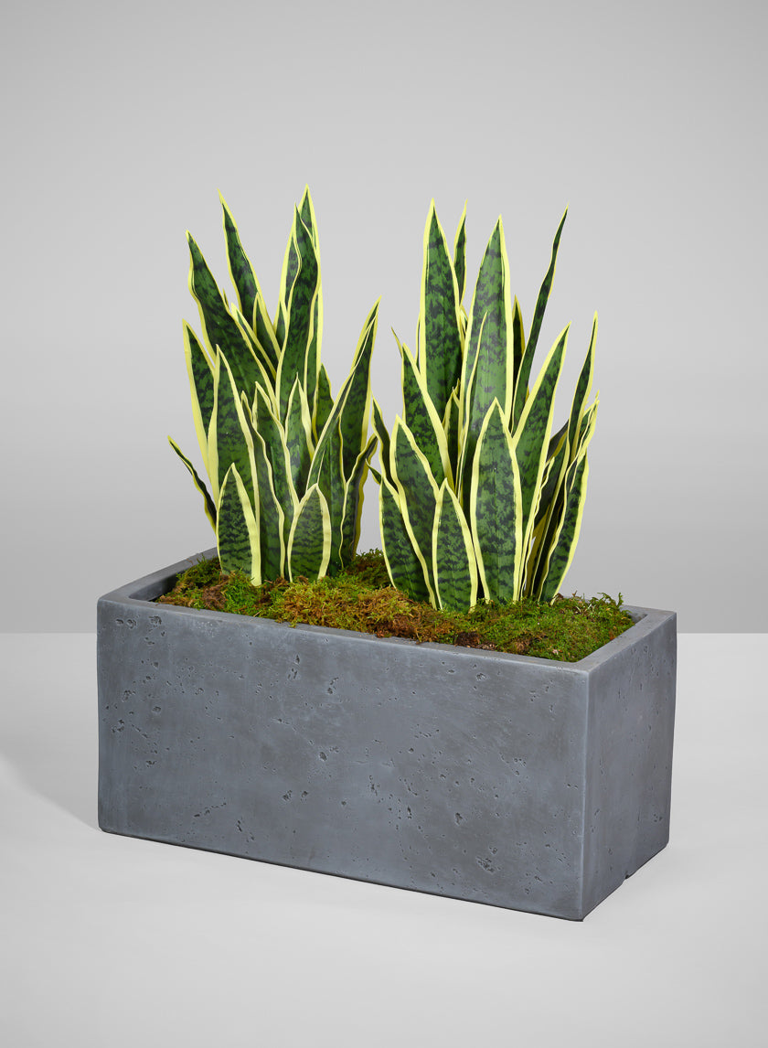 27in Tall Real Touch Real Look Snake Plant in Pot Decor Jamali Garden