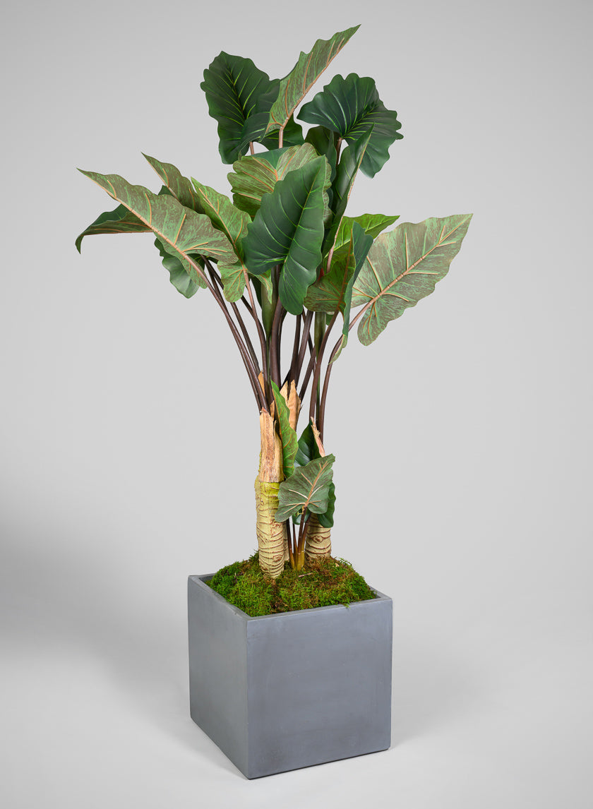 Venetian Grey All Weather Light Weight Polyresin Cube Planters Decor Jamali Garden